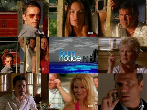 alluc burn notice|Burn Notice .